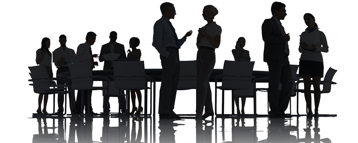 本國政治和公共生活的平等權利