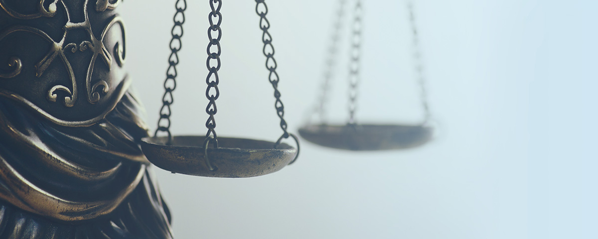 在法律和公民事務上享有平等