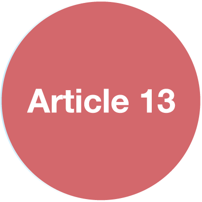 Article 13