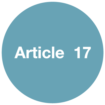 Article 17