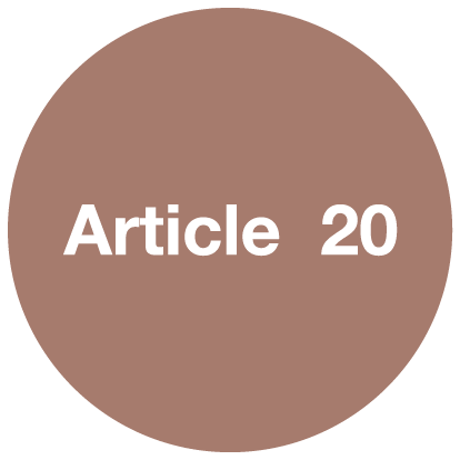 Article 20
