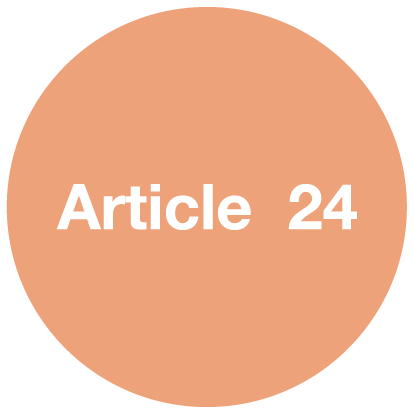 Article 24