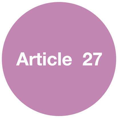 Article 27