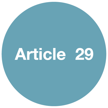 Article 29