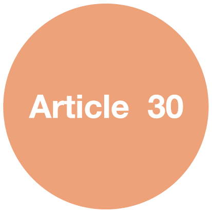 Article 30
