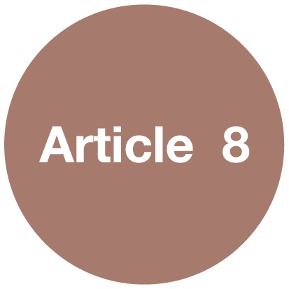 Article 8